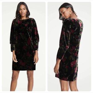 NWT Ann Taylor Dress Velvet Floral Cuffed Long Sleeve Boatneck Romantic Shift 2P
